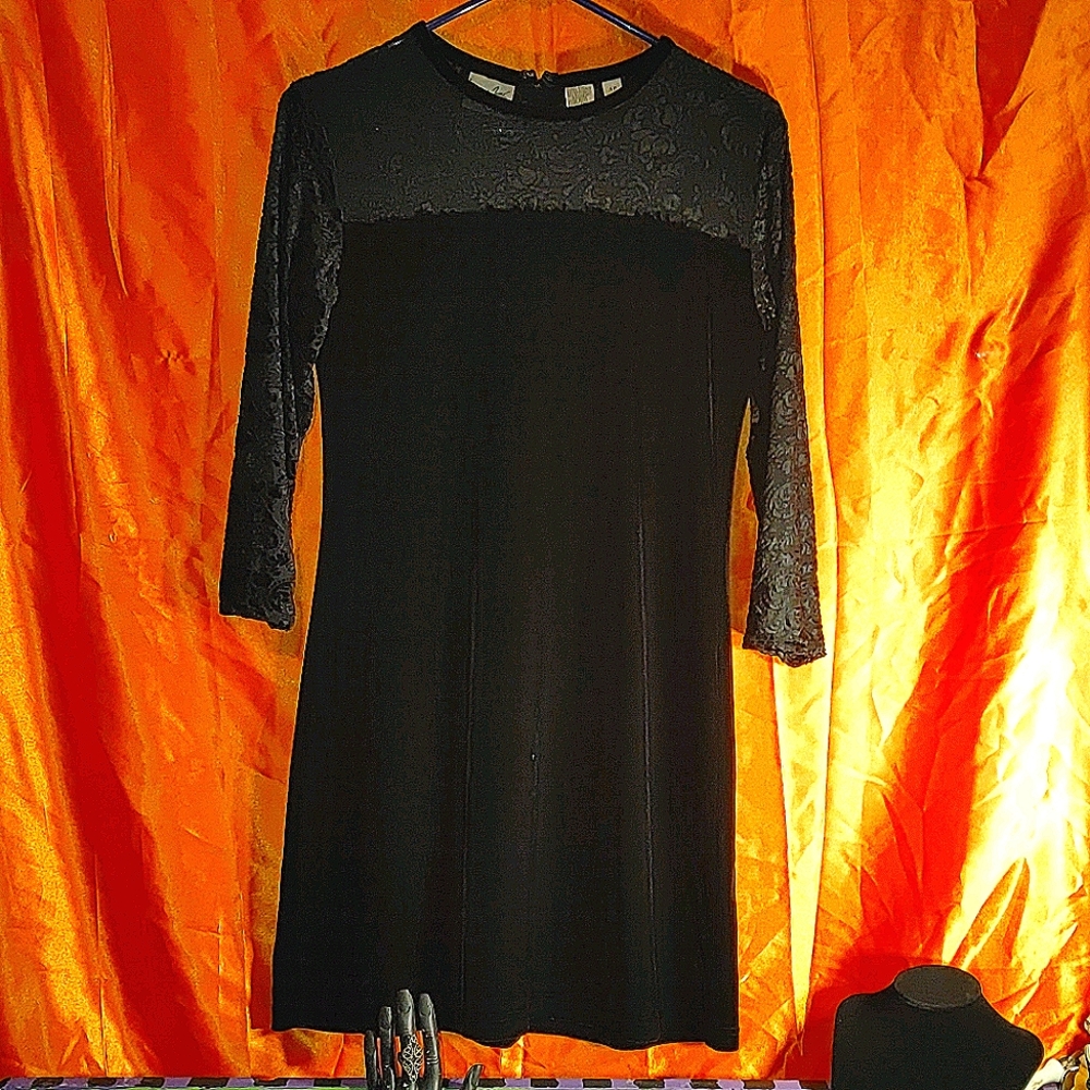 🖤Vintage Black Brocade Mesh & Velvet Dress🖤